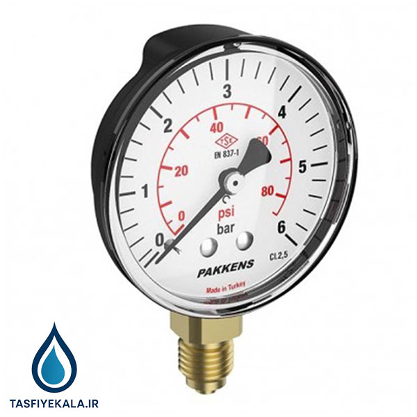 گیج فشار خشک پکنز (PAKKENS)- شش بار صفحه 10 سانت